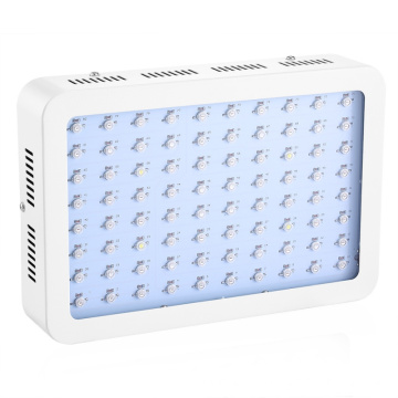 800w SMD LED rouge bleu élèvent la lumière